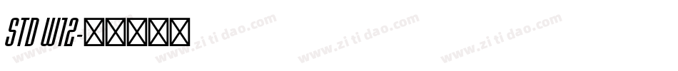 STD W12字体转换